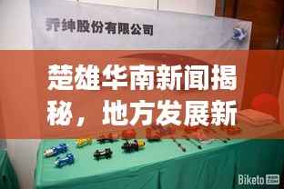 楚雄华南新闻揭秘,地方发展新动态速递