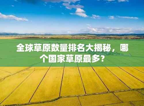 全球草原数量排名大揭秘,哪个国家草原最多?