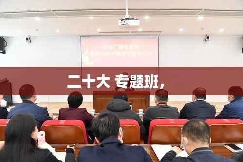 二十大 专题班,