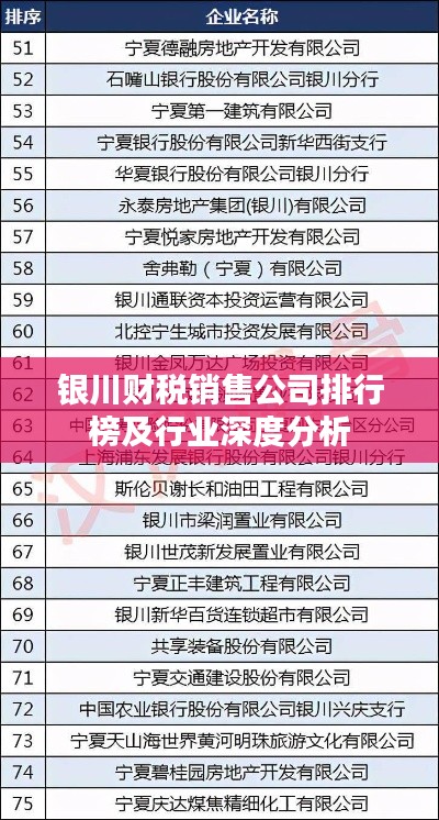 银川财税销售公司排行榜及行业深度分析