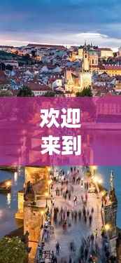 降尊纡贵 第3页