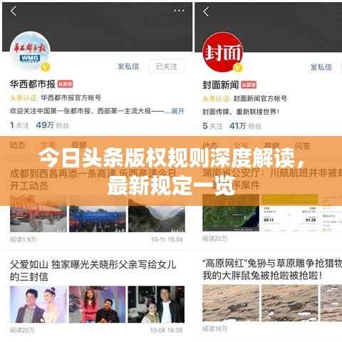今日头条版权规则深度解读,最新规定一览