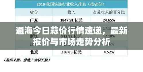 通海今日蒜价行情速递,最新报价与市场走势分析