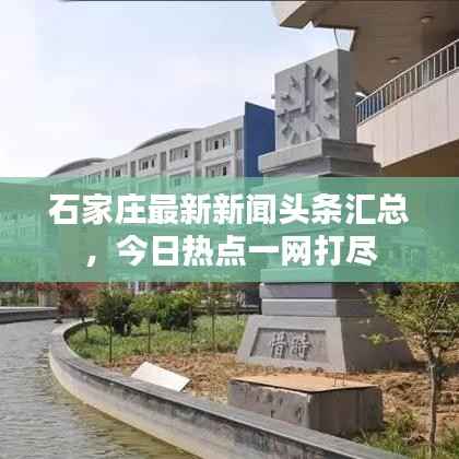 石家庄最新新闻头条汇总，今日热点一网打尽