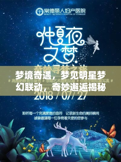 梦境奇遇,梦见明星梦幻联动,奇妙邂逅揭秘!