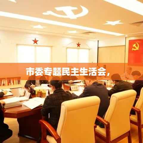 市委专题民主生活会,
