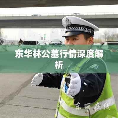 东华林公墓行情深度解析