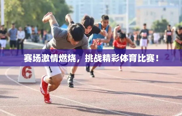 诚聘英才 第95页