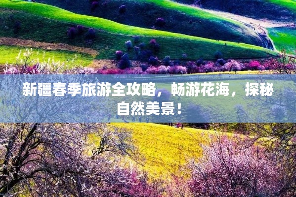 新疆春季旅游全攻略,畅游花海,探秘自然美景!