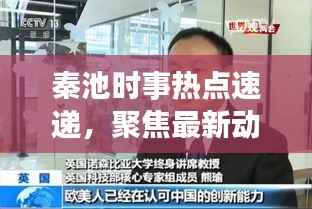 秦池时事热点速递,聚焦最新动态,深度解读新闻头条