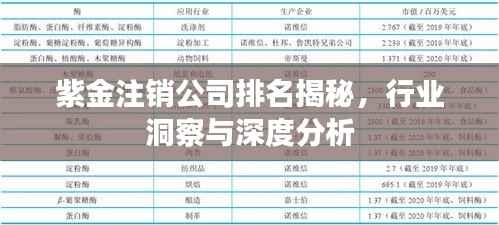 紫金注销公司排名揭秘,行业洞察与深度分析