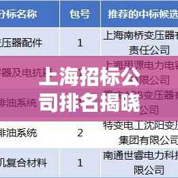 上海招标公司排名揭晓，行业影响力大揭秘！