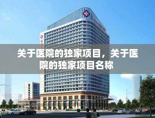 关于医院的独家项目,关于医院的独家项目名称