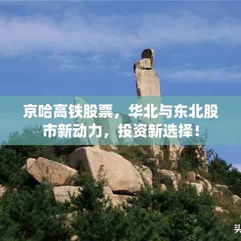 草创未就 第2页