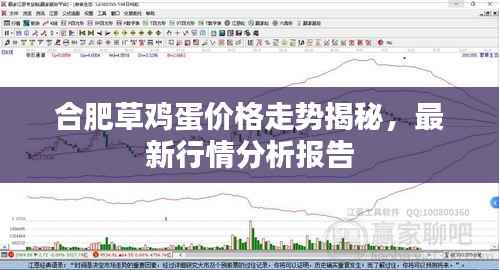 合肥草鸡蛋价格走势揭秘，最新行情分析报告