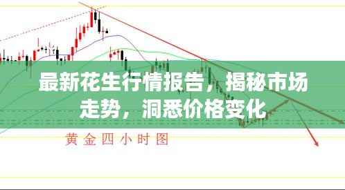 最新花生行情报告,揭秘市场走势,洞悉价格变化
