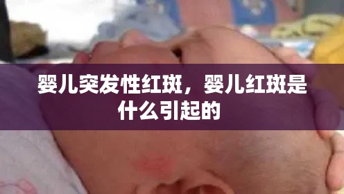 联系我们 第75页