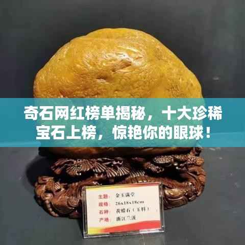 公司概况 第75页