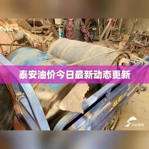 泰安油价今日最新动态更新