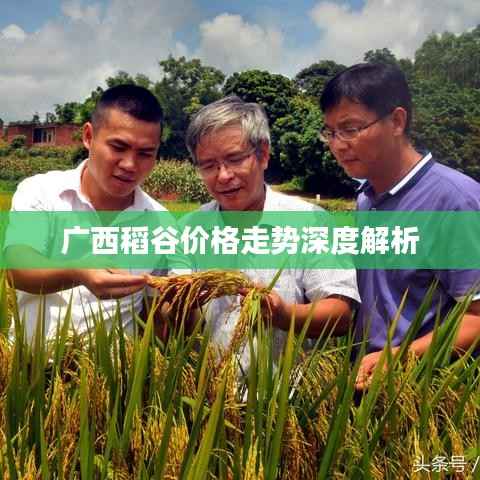 飞沙走石 第2页