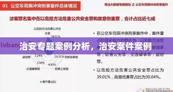 治安专题案例分析,治安案件案例