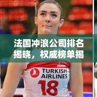 法国冲浪公司排名揭晓,权威榜单揭秘顶级品牌!