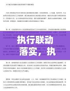 执行联动  落实,执行联动机制建设存在的问题