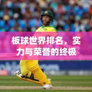 板球世界排名,实力与荣誉的终极象征