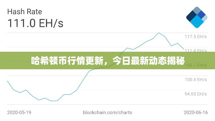 哈希顿币行情更新,今日最新动态揭秘
