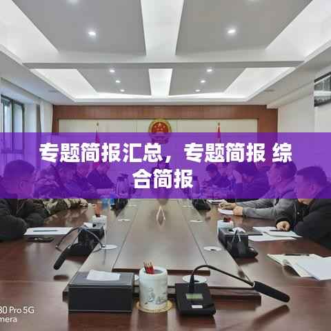 专题简报汇总,专题简报 综合简报