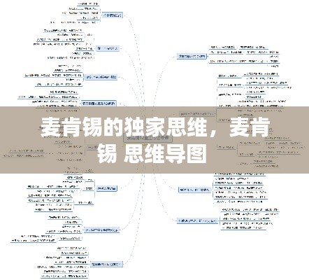 麦肯锡的独家思维，麦肯锡 思维导图 