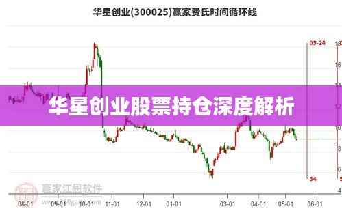 华星创业股票持仓深度解析