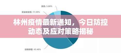 林州疫情最新通知，今日防控动态及应对策略揭秘