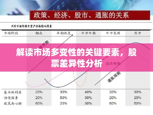 解读市场多变性的关键要素,股票差异性分析
