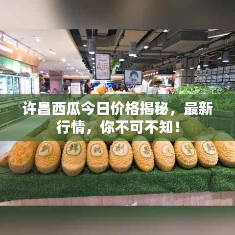 许昌西瓜今日价格揭秘，最新行情，你不可不知！