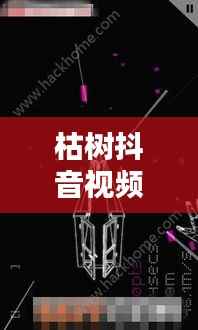 枯树抖音视频，探索最新版视频世界，体验独特魅力