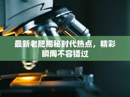 最新老肥揭秘时代热点,精彩瞬间不容错过